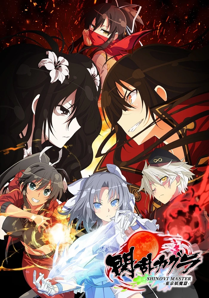 Секретное назначение девушек-ниндзя 2 постер