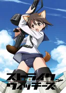 Постер Штурмовые ведьмы