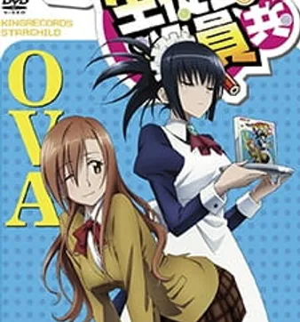 Постер Члены школьного совета 2 OVA